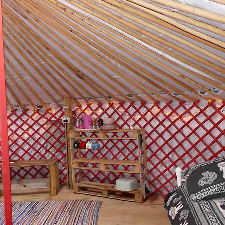 فندق هيلستونفي  Alder Yurt Wych Elm Glamping المظهر الخارجي الصورة